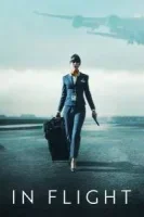 В полете